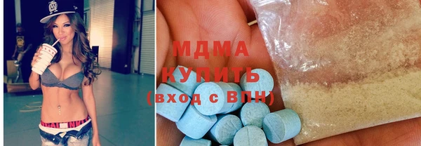 хмурый Тайга