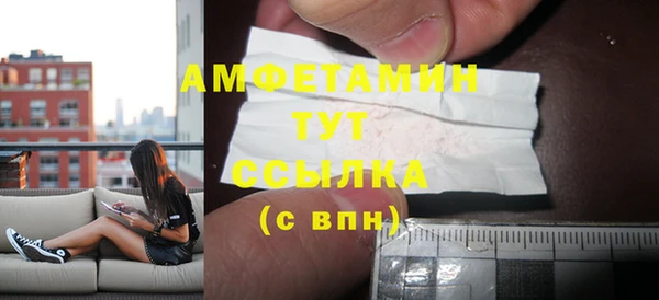 PSILOCYBIN Инсар