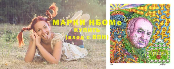 гашик Михайловск