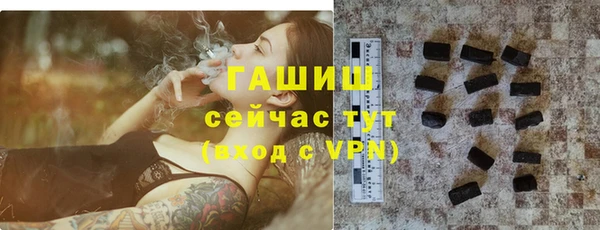 хмурый Тайга