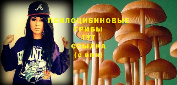 прущие крисы Абдулино